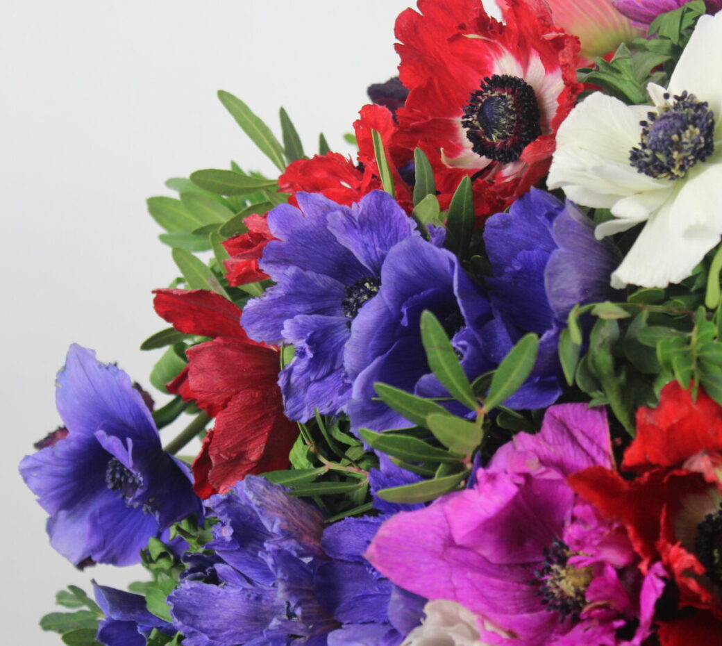 livraison-de-fleurs-livraison-gratuite-anémones